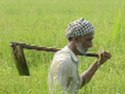 Allocated five per cent more crop loans this year than last year | गेल्या वर्षाच्या तुलनेत यंदा पाच टक्के जादा पीक कर्ज वाटप