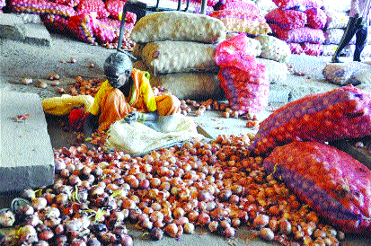 Pocket vaccine by selling five hundred kg of onion | पाचशे किलो कांदे विकूनही खिसा रिकामा