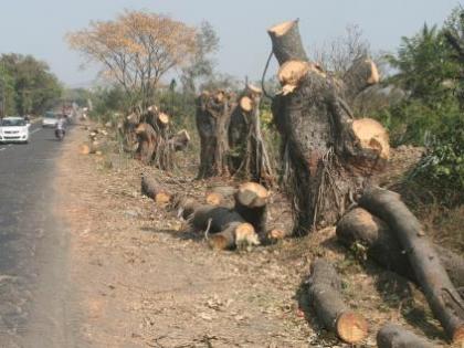 Penal action on the debris | जंगलतोड करणाऱ्यांवर दंडात्मक कारवाई