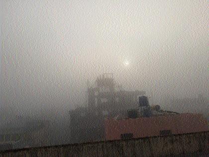 Fog sheet on Wani city | वणी शहरावर धुक्याची चादर