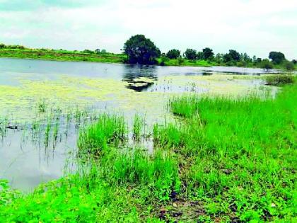 Breathing of the Kondalai lake due to waterfalls | जलपर्णीमुळे कोंडलाय तलावाचा श्वास