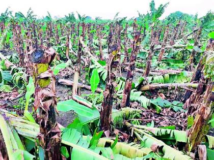 Where the hail, and the hail | कुठे गार, कुठे कोसळधार