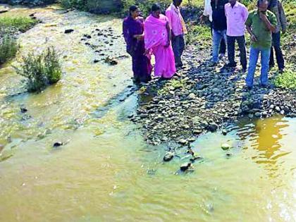 The village water supply will not be stopped for eight days | आठ दिवसांपासून गावाचा पाणी पुरवठा बंदच