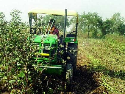  Tractor operated by farmers on Kadashi | शेतकऱ्यांनी कपाशीवर चालविला ट्रॅक्टर