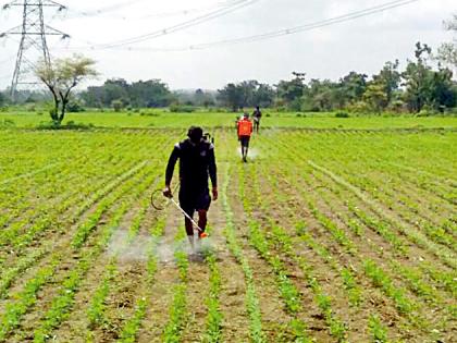 Rainfall decreases, project falls to the bottom | पावसाचा टक्का घटला, प्रकल्प तळाला