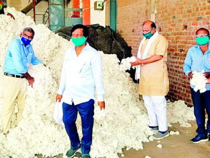 7 lakh quintals of cotton fell to farmers | ७ लाख क्विंटल कापूस शेतकऱ्यांकडे पडून 7 lakh quintals of cotton fell to farmers | ७ लाख क्विंटल कापूस शेतकऱ्यांकडे पडून