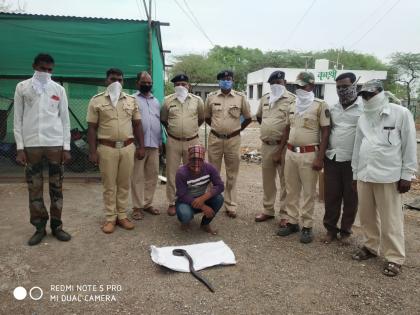 The two were arrested along with the forehead snake | मांडूळ सापासह दोघेजण ताब्यात