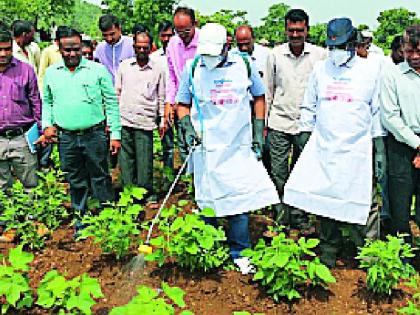 When the collector spraying! | जेव्हा जिल्हाधिकारी करतात फवारणी!