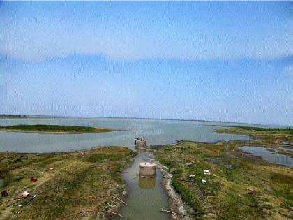 Water crisis crisis in Beed district | बीड जिल्ह्यात पाणीबाणीचे संकट