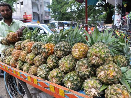 Kolhapur: sugar, vegetable rose, stagnant pulse price, pineapple arrival in the fruit market | कोल्हापूर : साखर, भाजीपाला वधारला, कडधान्याचे दर स्थिर, फळबाजारात अननसांची आवक