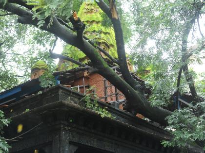 Tree fell on historic Shivaji temple in Kolhapur, damage to temple | कोल्हापूरात ऐतिहासिक शिवाजी मंदिरावर झाड कोसळले, मंदिराचे नुकसान