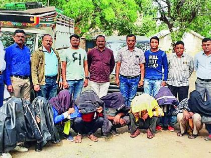 Orange gang arrested | संत्राचोरांची टोळी अटकेत Orange gang arrested | संत्राचोरांची टोळी अटकेत