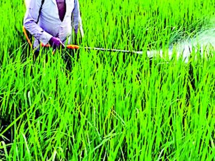 Farmers, take care when spraying! | शेतकऱ्यांनो, फवारणी करताना काळजी घ्या !