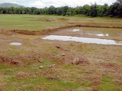 Coca Wildlife Sanctuary, drains, drying | कोका वन्यजीव अभयारण्यातील नाले, वनतलाव कोरडे