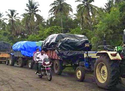 In Buldana district, maize of 15,000 farmers at home | बुलडाणा जिल्ह्यात १५ हजार शेतकऱ्यांचा मका घरात पडून