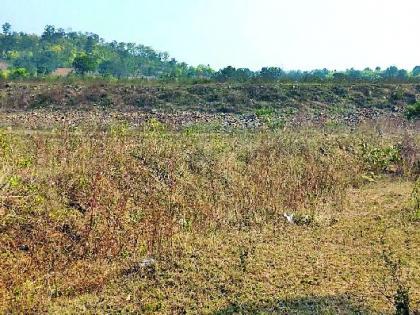 Causing waterlogging on the hill | पहाडावर जलसंकट उद्भवणार