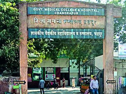 Climate change exacerbates mate illness | वातावरणातील बदलामुळे साथीच्या आजारांत वाढ Climate change exacerbates mate illness | वातावरणातील बदलामुळे साथीच्या आजारांत वाढ