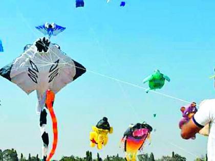 Fly kite; Just a little bit! | पतंग उडवा; पण जरा जपून !