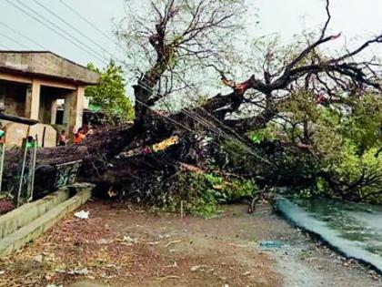 The storm hits the district | जिल्ह्याला वादळी पावसाचा तडाखा