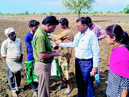 Notice to four companies providing bogus seeds | बोगस बियाणे देणाऱ्या चार कंपन्यांना नोटीस