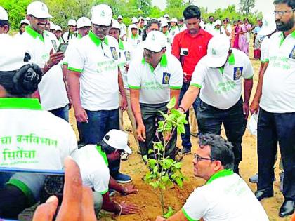 District-tree plantation campaign | जिल्हाभर वृक्ष लागवड मोहीम