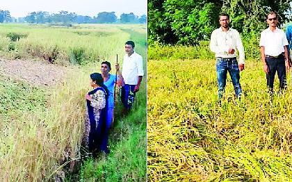 Officers arrived at the farm for damage | नुकसानीच्या पंचनाम्यासाठी अधिकारी पोहोचले शेतावर Officers arrived at the farm for damage | नुकसानीच्या पंचनाम्यासाठी अधिकारी पोहोचले शेतावर