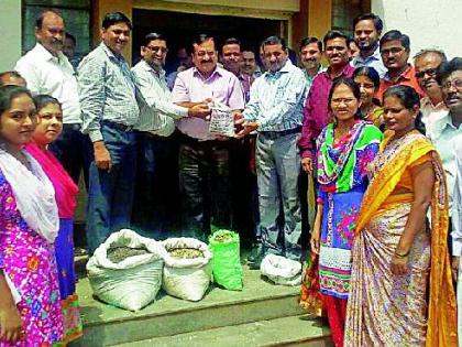 Provision of quintal seeds handed over to additional collectors | अपर जिल्हाधिकाऱ्यांकडे सव्वा क्विंटल बिज सुपूर्द