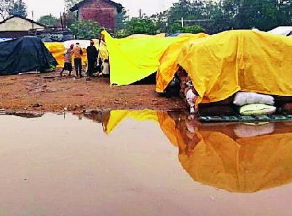 Paddy soaked with rains | अवकाळी पावसाने भिजले केंद्रावरचे धान Paddy soaked with rains | अवकाळी पावसाने भिजले केंद्रावरचे धान