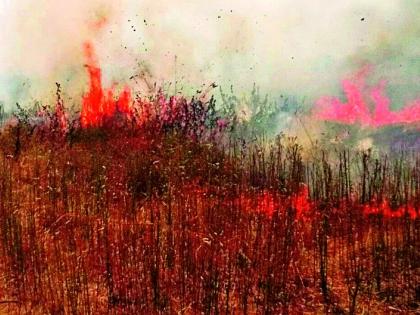 Flame of 25 acres of turf in the field, fire | २५ एकर शेतातील तूर पीक आगीने जळून खाक