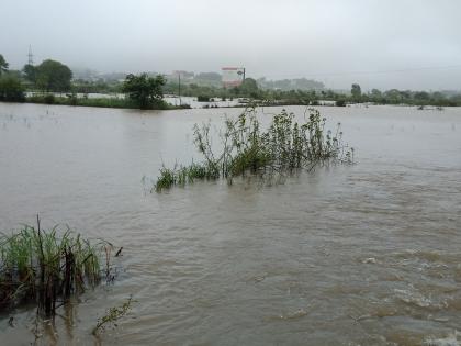 Offspring of Igatpuri; Paddy cultivation under water | इगतपुरीत संततधार ; भात शेती पाण्याखाली