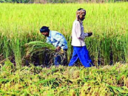 District afterwards from the list of state level agricultural prizes | राज्यस्तरीय कृषी पुरस्काराच्या निवड यादीतून जिल्हा बाद