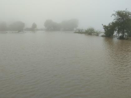 The bridge escapes near the village of Pimprisado | पिंप्रीसदो गावाजवळ पुलाला भगदाड