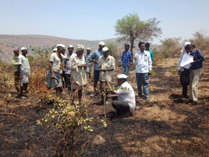  Fire at the mountains of Manoranik, and the trees burned | मानूरनजिक डोंगरावर आग, झाडे जळून खाक