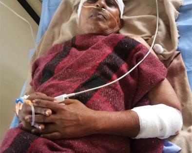 Injured attackers injured | अस्वलाच्या हल्ल्यात भाविक जबर जखमी