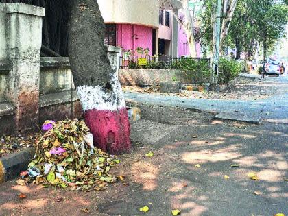 Ignorance of the Municipal Corporation: The cleaning workers do not have the planning and they will be able to save the crop | पालिकेचे दुर्लक्ष : सफाई कामगारांचे नियोजन नसल्याने फटका कचºयाचे ढीग कायम