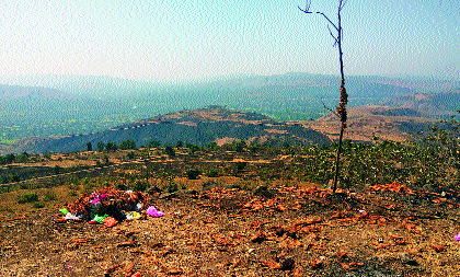 The historic place on the hill of Waghjai | वाघजाईच्या डोंगरावरील ऐतिहासिक ठेवा करपतोय