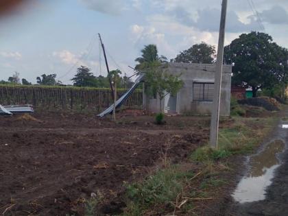 The trees were destroyed by the rain | वादळी पावसाने झाडे जमीनदोस्त