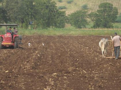 The farmer was forced to work on the brink of crisis | संकटाचे ओङो घेऊन शेतकरी लागला कामाला The farmer was forced to work on the brink of crisis | संकटाचे ओङो घेऊन शेतकरी लागला कामाला