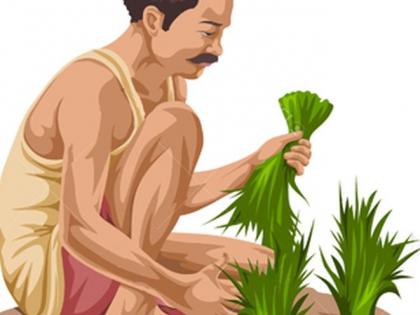 Only 14 percent of the farmers: crop loans are the only ones | केवळ 14 टक्के शेतक:यांनाच पीककर्ज