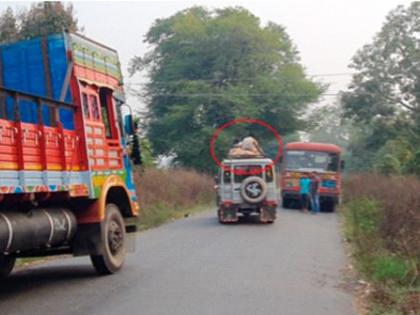 The truck broke the power line, causing a traffic jam on the horse-drawn road | ट्रकने विजेची तार तोडल्याने घोडजामणे रस्त्यावर वाहतूक ठप्प