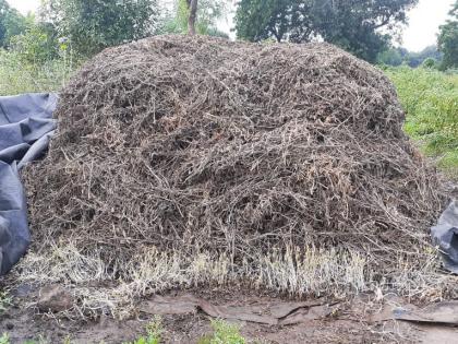 In the Wakod area, it was time to say go ra go rain | वाकोद परिसरात जा रे जा पावसा म्हणण्याची आली वेळ