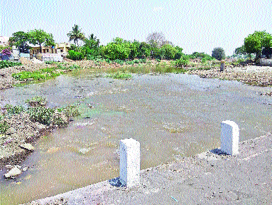 Water in the Aukpadi Shukra Cremation | आटपाडीच्या शुक ओढ्यात पाणी