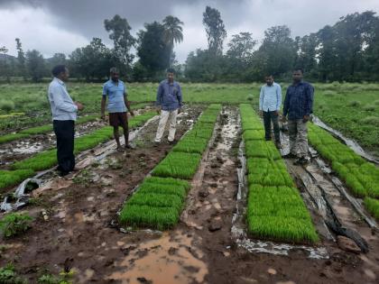 Response to Krishi Sanjeevani Week! | कृषी संजीवनी सप्ताहास प्रतिसाद !