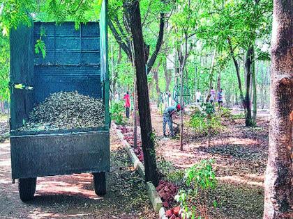 Mundhe ready to welcome: A message from the citizens of the Krishnagar area, the jogging track has the benefit of touching the broom! | मुंढे यांच्या स्वागताची तयारी : कृषिनगर परिसरातील नागरिकांनी व्यक्त केले समाधान जॉगिंग ट्रॅकला लाभला झाडू स्पर्श!