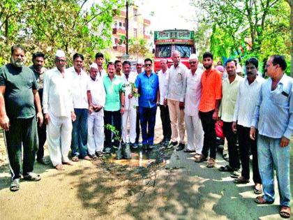 Gandhinagar nationalist Congress: Demand for road repair Plantation in the streets | राष्ट्रवादी कॉंग्रेसची गांधीगिरी : रस्ता दुरुस्तीची मागणी सटाण्यात रस्त्यात वृक्षारोपण