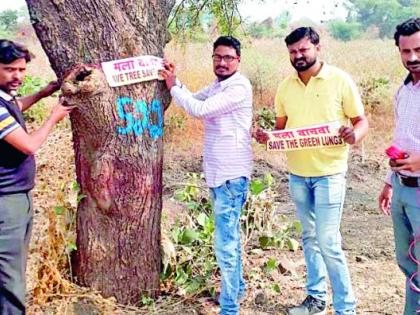 The struggle to save trees in width | रुंदीकरणात झाडं वाचविण्याची धडपड