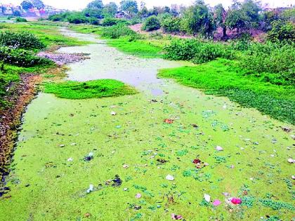 Bournadi's sludge will be able to give up 'prosperity' | बोरनदीचा गाळ उपसून ‘समृद्धी’ला देणार बळकटी