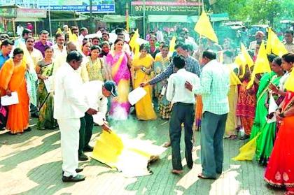 Holi by the Dhangar community of Mahayuti's word | महायुतीच्या वचननाम्याची धनगर समाजातर्फे होळी