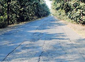 56 crores for the construction of 1180-km roads | ११८० किलोमीटरच्या रस्ते दुरुस्तीसाठी ५६ कोटी