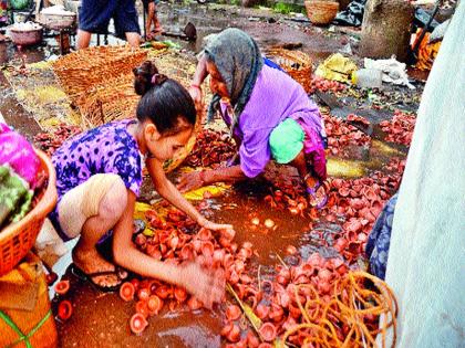  The district, along with Nashik city, was drenched in the rain | नाशिक शहरासह जिल्ह्याला पावसाने झोडपले